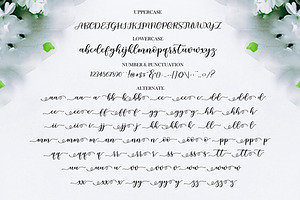 Hamidha Script