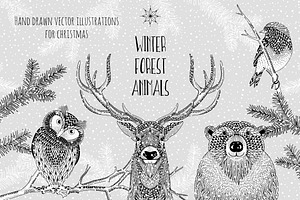 Winter Forest Animals - Hand Drawn