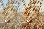 30 Fall Feel Lightroom Collection, a Preset Add-On by 3Motional (Thumbnail 5 of 11)