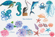 For Sale, a Decorative Illustration by Pretty light (Thumbnail 2 of 7)