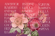 Negkomis — Elegant Ligature Serif, a Serif Font by Enxyclo Studio (Thumbnail 21 of 26)