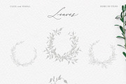 Olive leaves. Laurel frame & wreath, a Decorative Illustration by Summer Nightingale Art (Thumbnail 2 of 15)