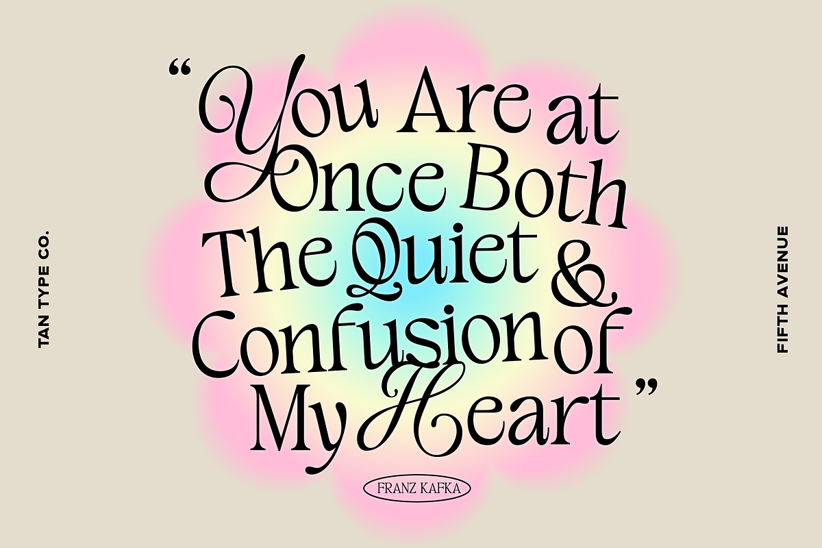 TAN - FIFTH AVENUE, a Serif Font by TanType (Photo 4 of 11)