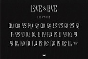 Love & Live, a Serif Font by Drizy (Thumbnail 7 of 8)