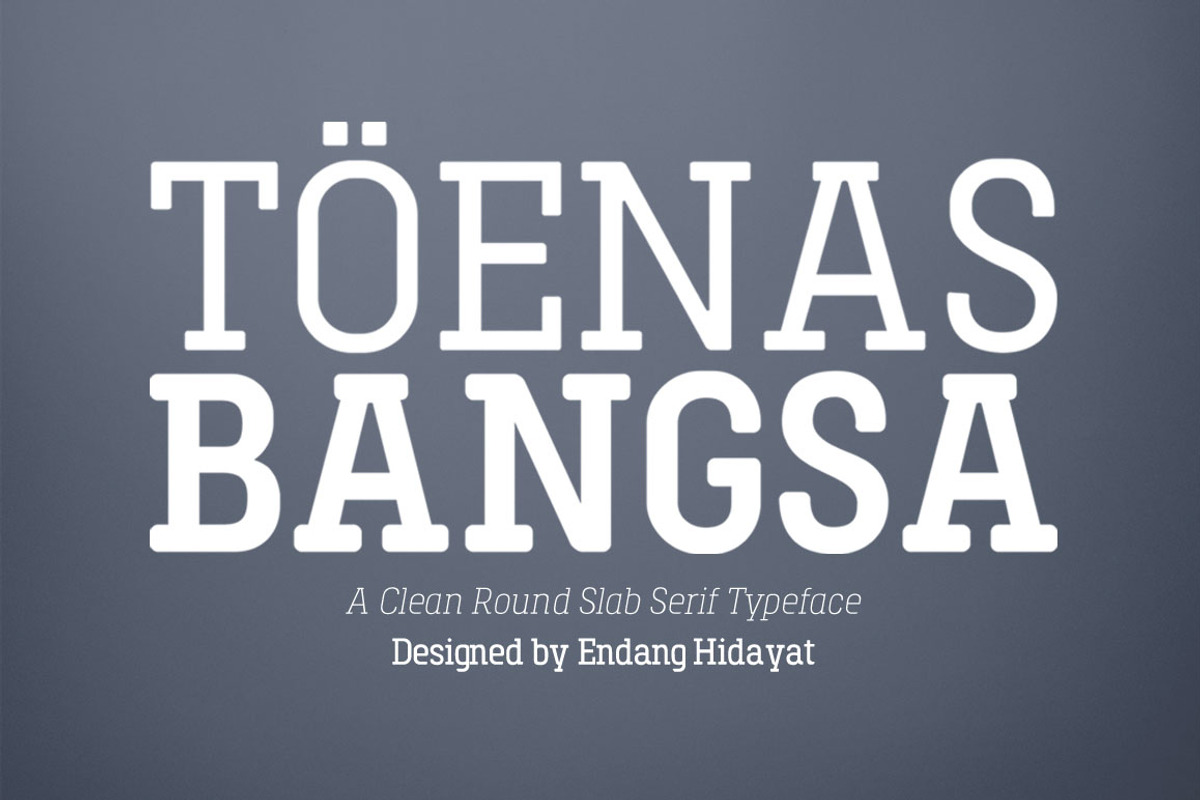 Toenas Bangsa Font Family, a Slab Serif Font by Bang Kumis Typefoundry (Photo 1 of 8)
