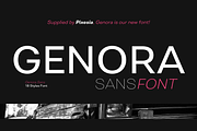 Genora Sans Serif Font Family, a Sans Serif Font by Pixesia Studio (Thumbnail 1 of 15)