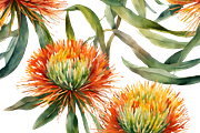 Pincushion Protea Flowers, a Decorative Illustration by Karliefie (Thumbnail 7 of 8)