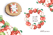 Watercolor Apple Collection, a Food Illustration by MayaNavits (Thumbnail 2 of 7)