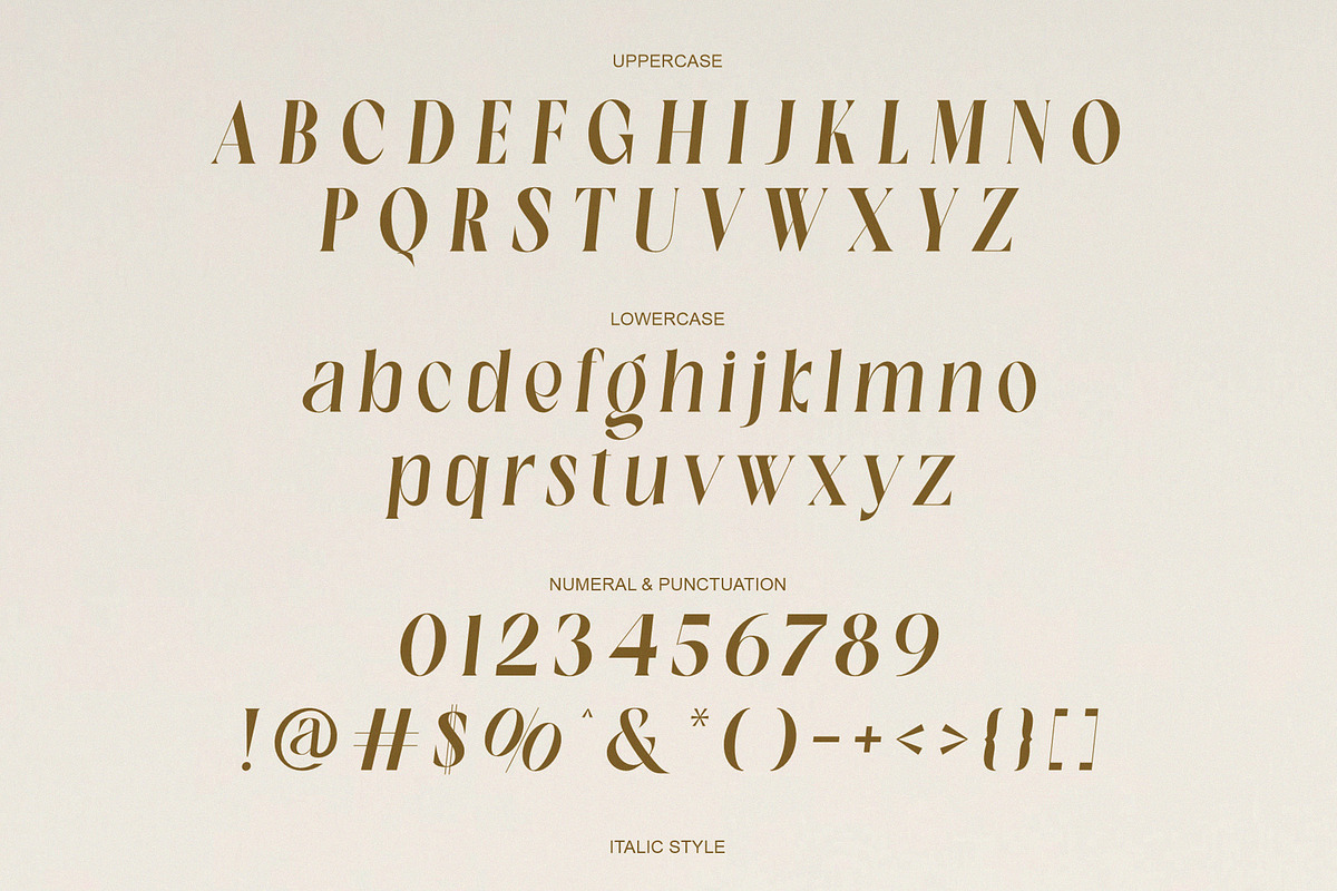 Halind Modern Elegant Serif, a Serif Font by Alfinart (Photo 8 of 10)