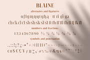 Blaine, a Serif Font by Larin Type Co. (Thumbnail 11 of 11)