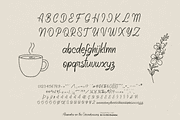 Aleandra on the Soundwaves Font, a Handwritten Font by Letterhanna Studio (Thumbnail 2 of 10)
