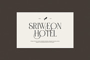 Paris Elegant Serif Font, a Serif Font by Perfectype (Thumbnail 4 of 8)
