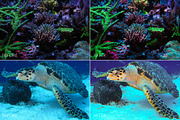 Barrier Reef Lr Presets, an Action Add-On by PandoraDreams (Thumbnail 5 of 7)