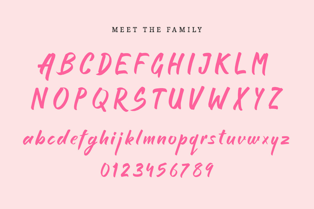 Think Music Script Font preview 6