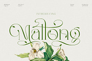 Mallong Typeface, a Serif Font by alit design (Thumbnail 1 of 17)