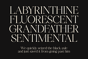 Tangier - Classy Modern Serif, a Serif Font by Viswell (Thumbnail 8 of 12)