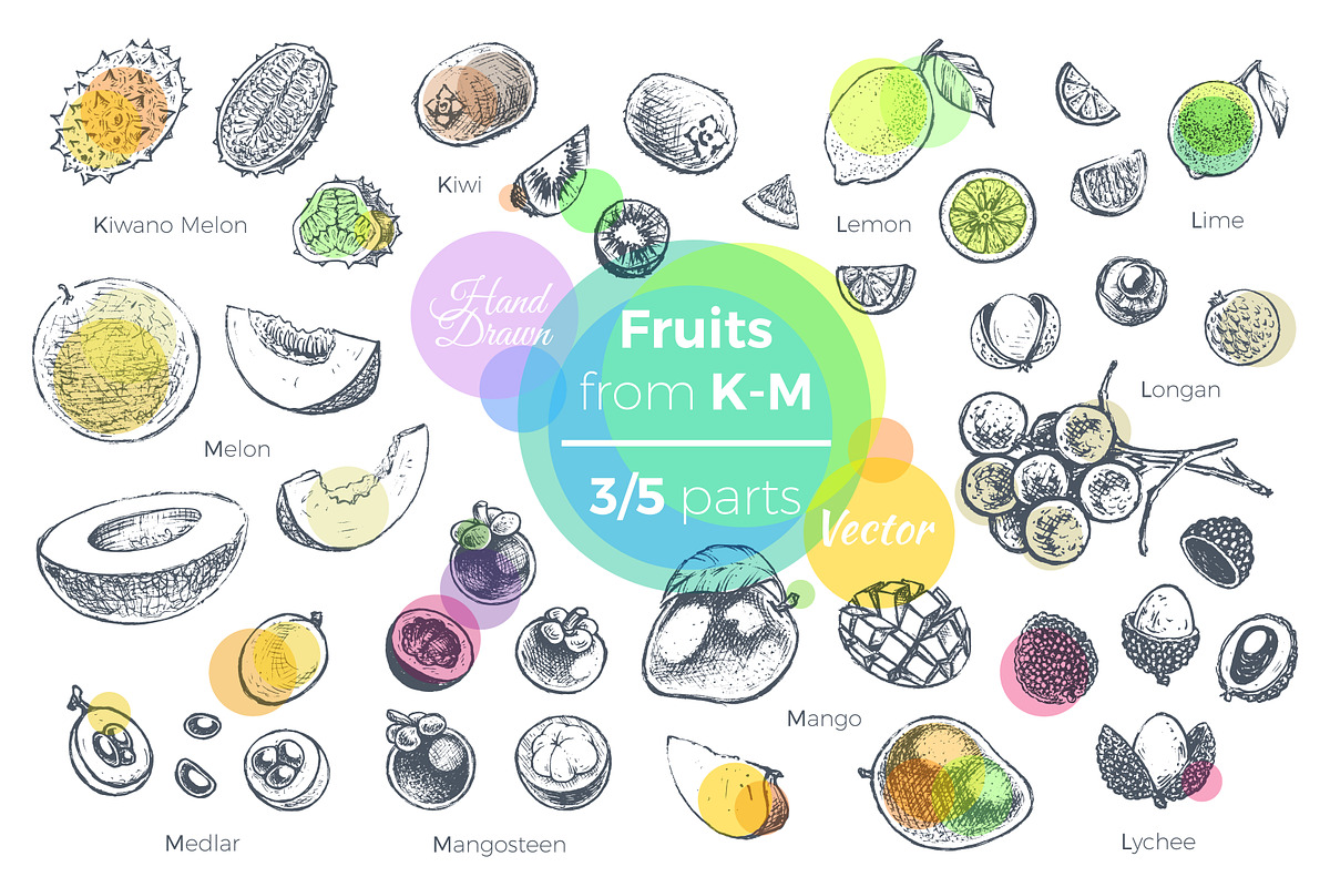 Fruits - hand drawn vector set, a Food Illustration by Margo Miller (Photo 10 of 25)