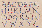 Patriotic Clipart Bundle, a Seasonal Illustration by Maggie Stilwell Design (Thumbnail 9 of 16)