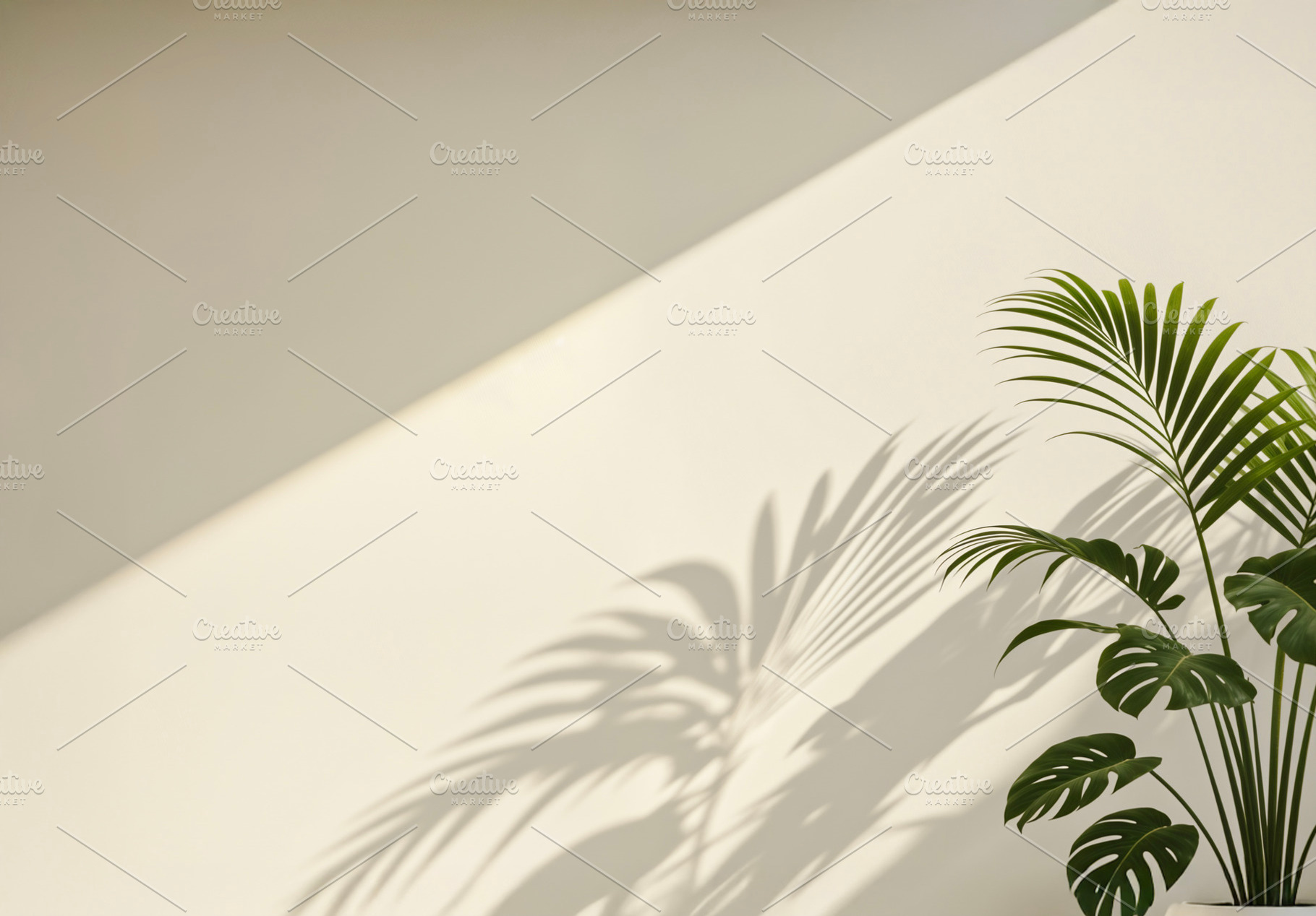 shadow of a Monstera, a Photo by rarrarorro