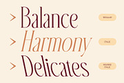 Baige – Condensed Font, a Serif Font by Craft Supply Co. (Thumbnail 3 of 8)