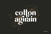 michael - beauty ligature font, a Sans Serif Font by Sensatype (Thumbnail 3 of 17)