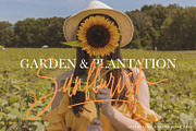 Australians - Handwritten Font, a Script Font by Megi Satyo Widodo (Thumbnail 3 of 19)