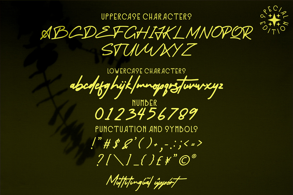 little theory - Script style font, a Script Font by mahstudios (Photo 6 of 8)