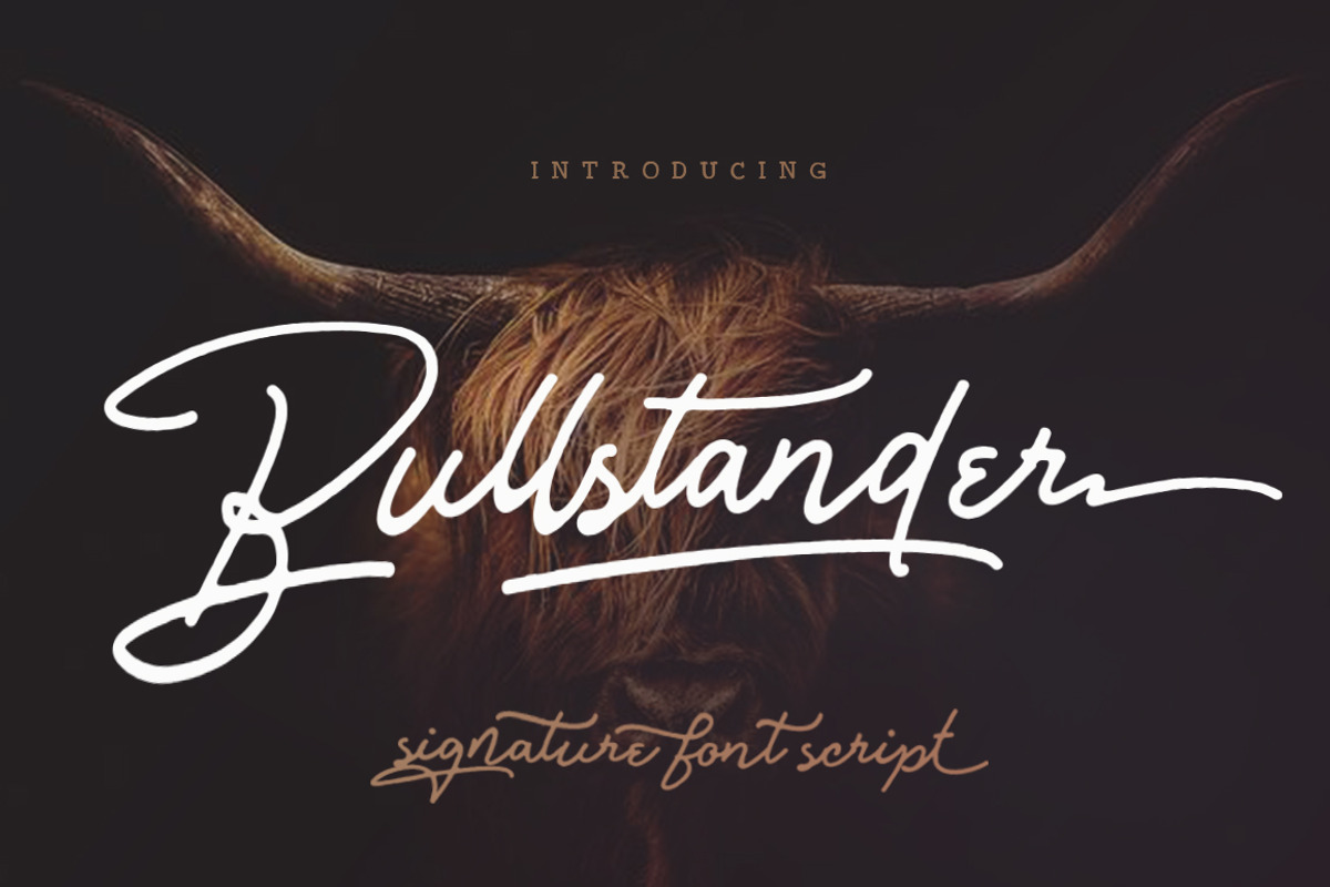 Bullstander 6 Font Set - 60% OFF