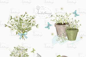 Daisies Design