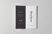 Tri-Fold DL Brochure Mock-up, an Advertising Mockup by zippypixelstudio (Thumbnail 10 of 11)
