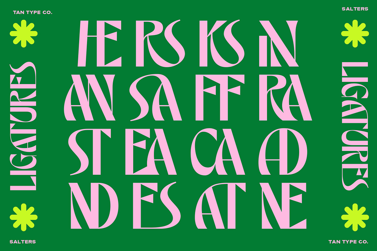 TAN - SALTERS, a Font by TanType (Photo 11 of 14)
