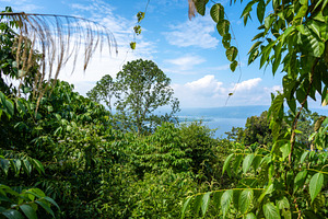 Panoramic view of Lake Poso in Tentena, Sulawesi, Indonesia, a Nature Photo by GoodGoods