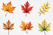 Watercolor Autumn Leaves Clipart, an Illustration by CrexoraLab (Thumbnail 2 of 5)