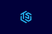 Modern TS Monogram Logo, a Branding & Logo Template by arhabib (Thumbnail 8 of 11)
