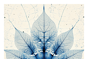 Role Co. Cyanotype Leaf in Symmetry, a Texture Illustration by milatovar (Thumbnail 17 of 21)