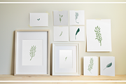 Gouache Procreate Brush Stamps & PNG, a Brush Add-On by Gabba Delgado (Thumbnail 5 of 6)