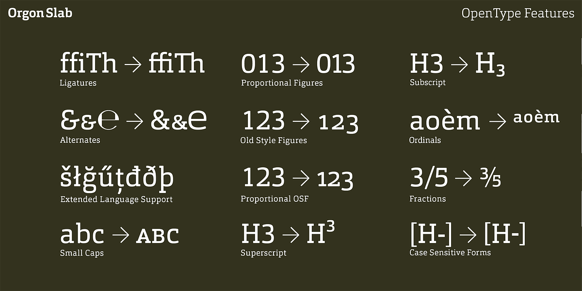 Orgon Slab, a Slab Serif Font by Hoftype (Photo 30 of 30)