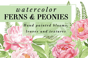 Peonies & Ferns Kit