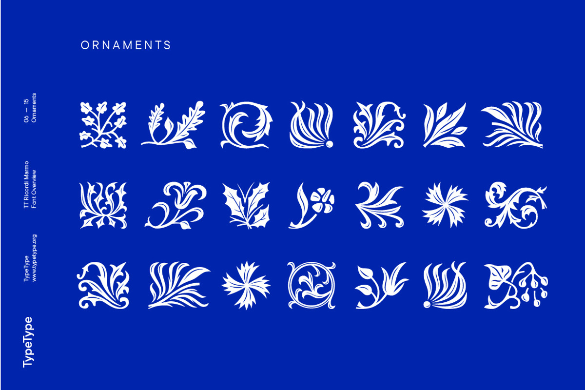 TT Ricordi Marmo, a Serif Font by TypeType (Photo 6 of 15)