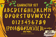 Honey Mushroom -Display Cartoon Font, a Font by Gassstype (Thumbnail 8 of 8)