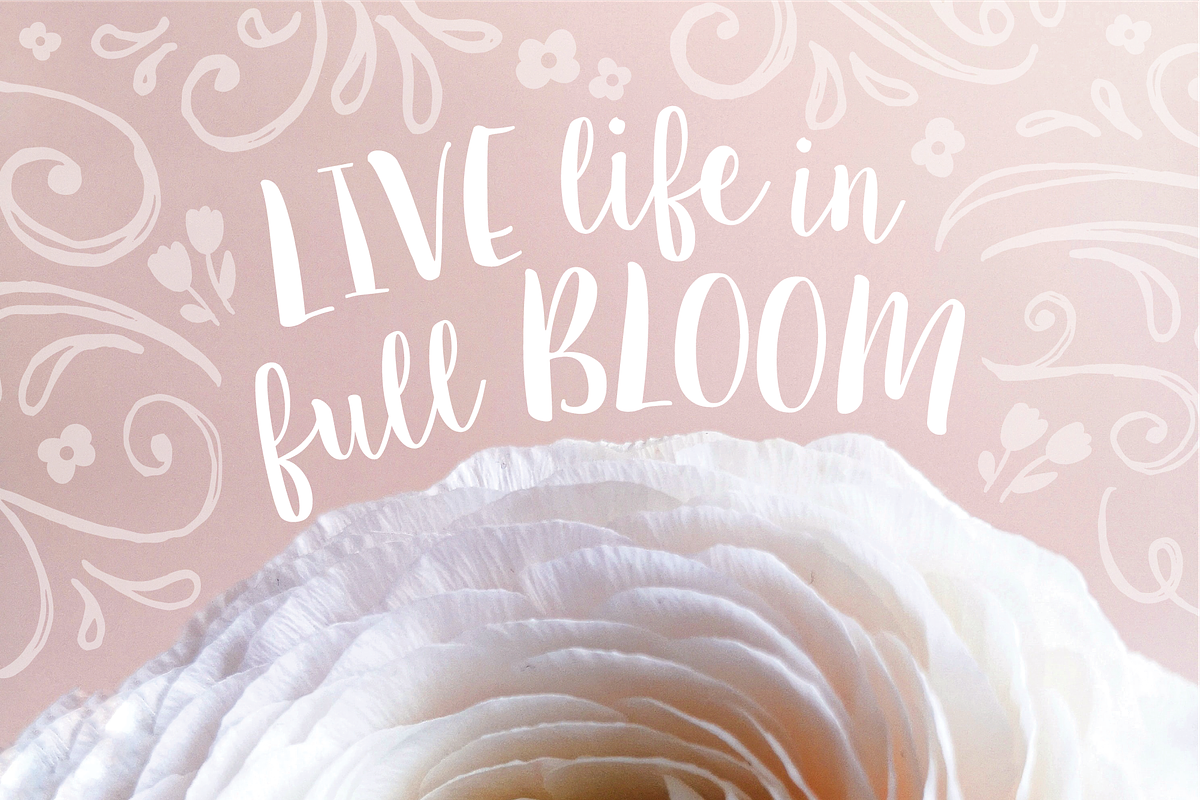 Sugar Plums Script, a Script Font by Emily Spadoni (Photo 2 of 7)