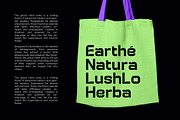 Hurst Bagod Modern Display Font, a Sans Serif Font by timelesstype.co (Thumbnail 11 of 15)