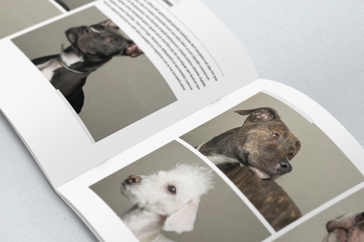 Elegant Photo Album A4 + Letter, a Brochure Template by Luuqas Design (Photo 7 of 7)
