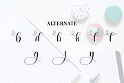 Badge | Script Font, a Handwritten Font by Scratchones (Thumbnail 8 of 9)