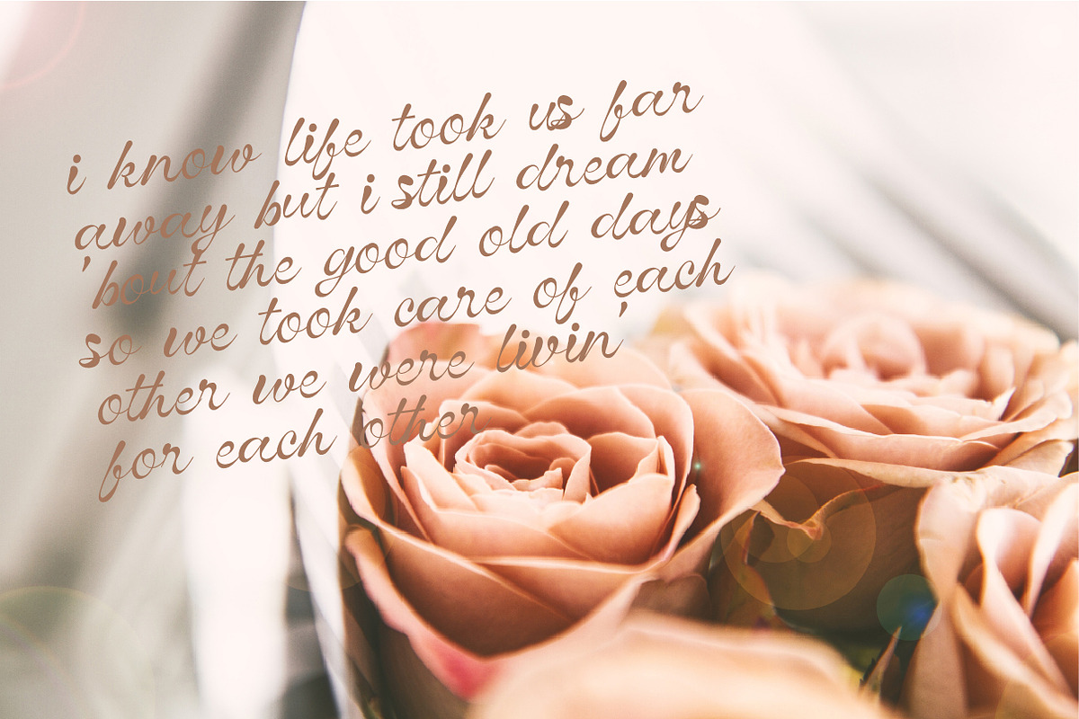 Vinecta - Retro Script Font, a Script Font by Dhabee (Photo 12 of 16)