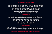 Thunder Script, a Script Font by hastatypestd (Thumbnail 8 of 10)