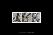 High Quality Film Frames Creator, a Product Mockup by The Muza (Thumbnail 22 of 25)