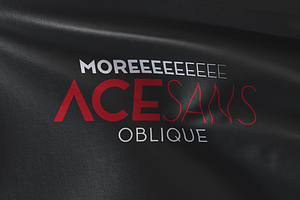 Ace Sans Oblique