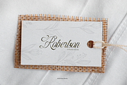 Raufendry Beauty Calligraphy Script, a Script Font by Denustudios (Thumbnail 9 of 12)