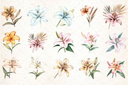 Watercolor Lily Flower Boho Clipart, an Illustration by DreamCafeArt (Thumbnail 3 of 5)